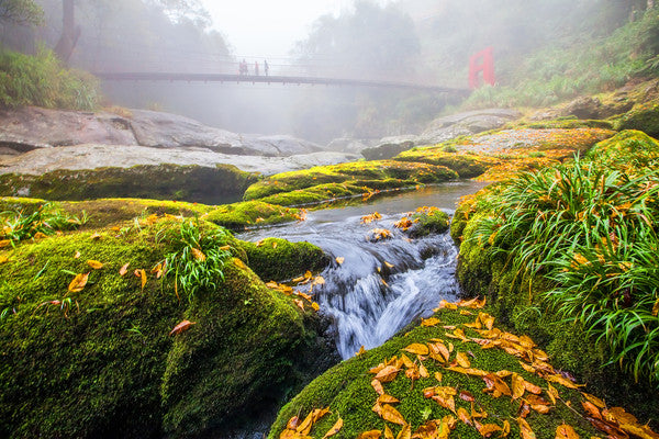 去宜蘭「那山那谷」森林露營，輕裝過冬全紀錄 🎄⛺️