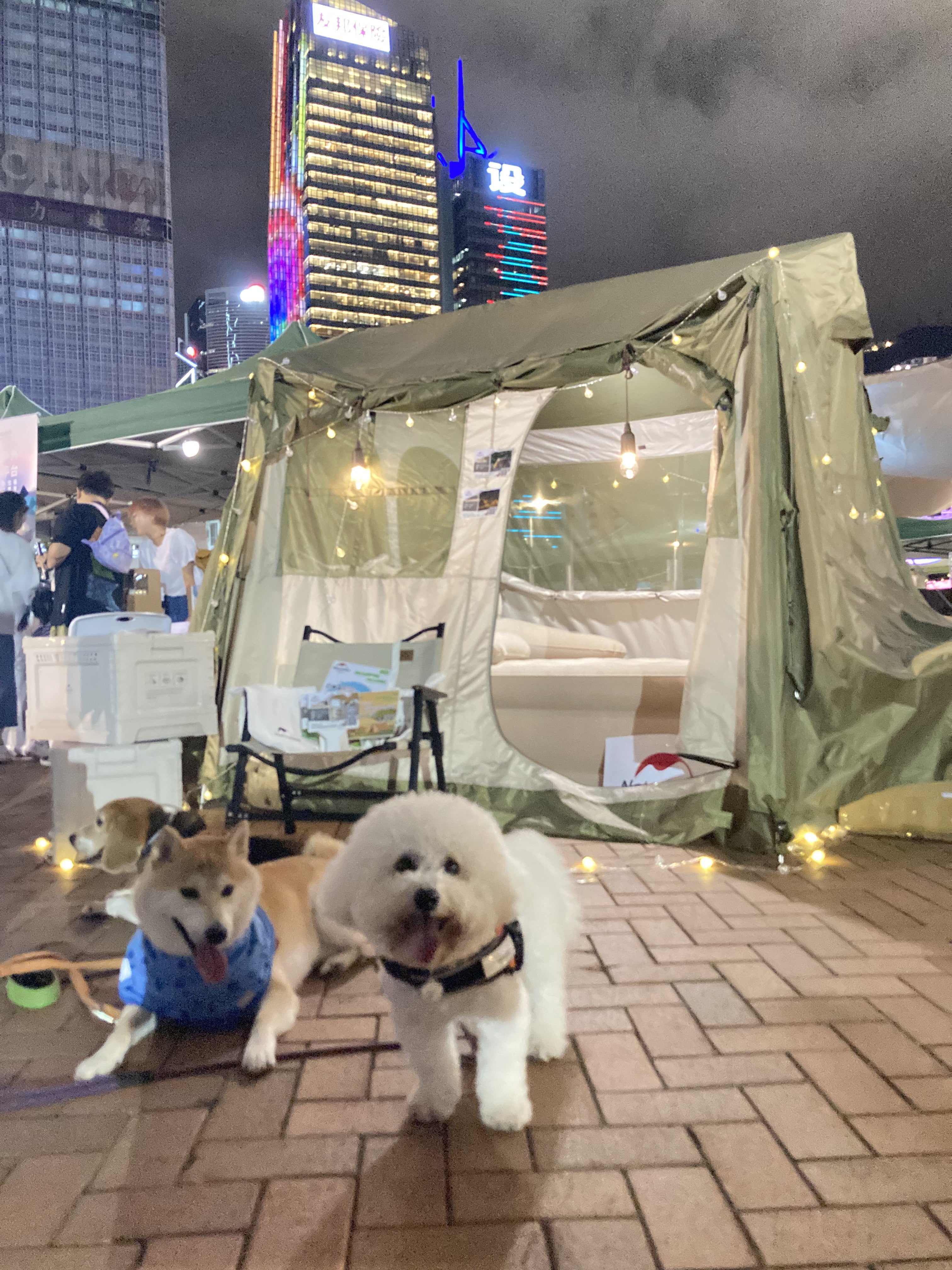 HKCAMP香港露營文化祭・夏日露營節