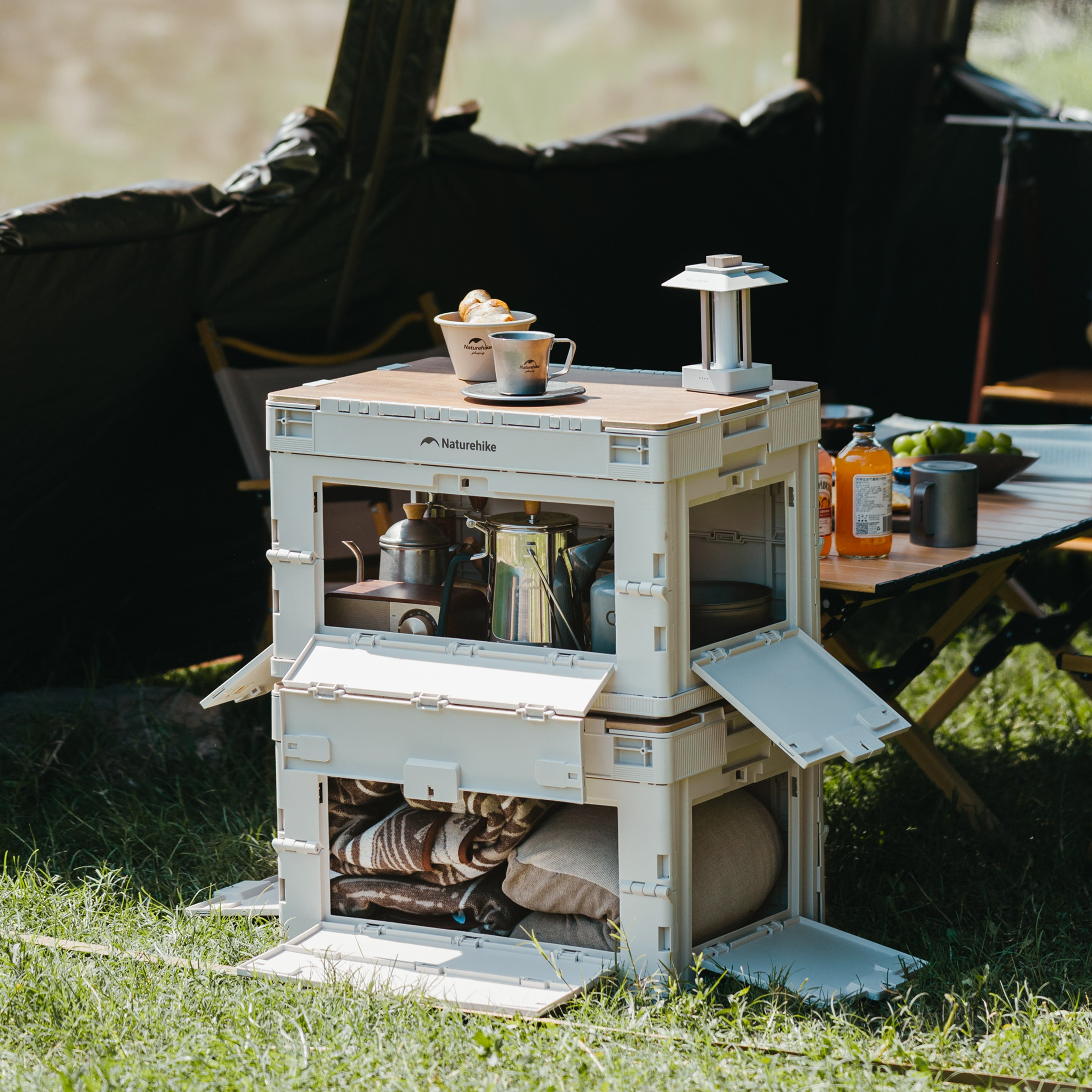 【新品訂購】凌越L折疊收納箱 23L/52L | 四面開合 | 簡易組裝 CNK2450XB020