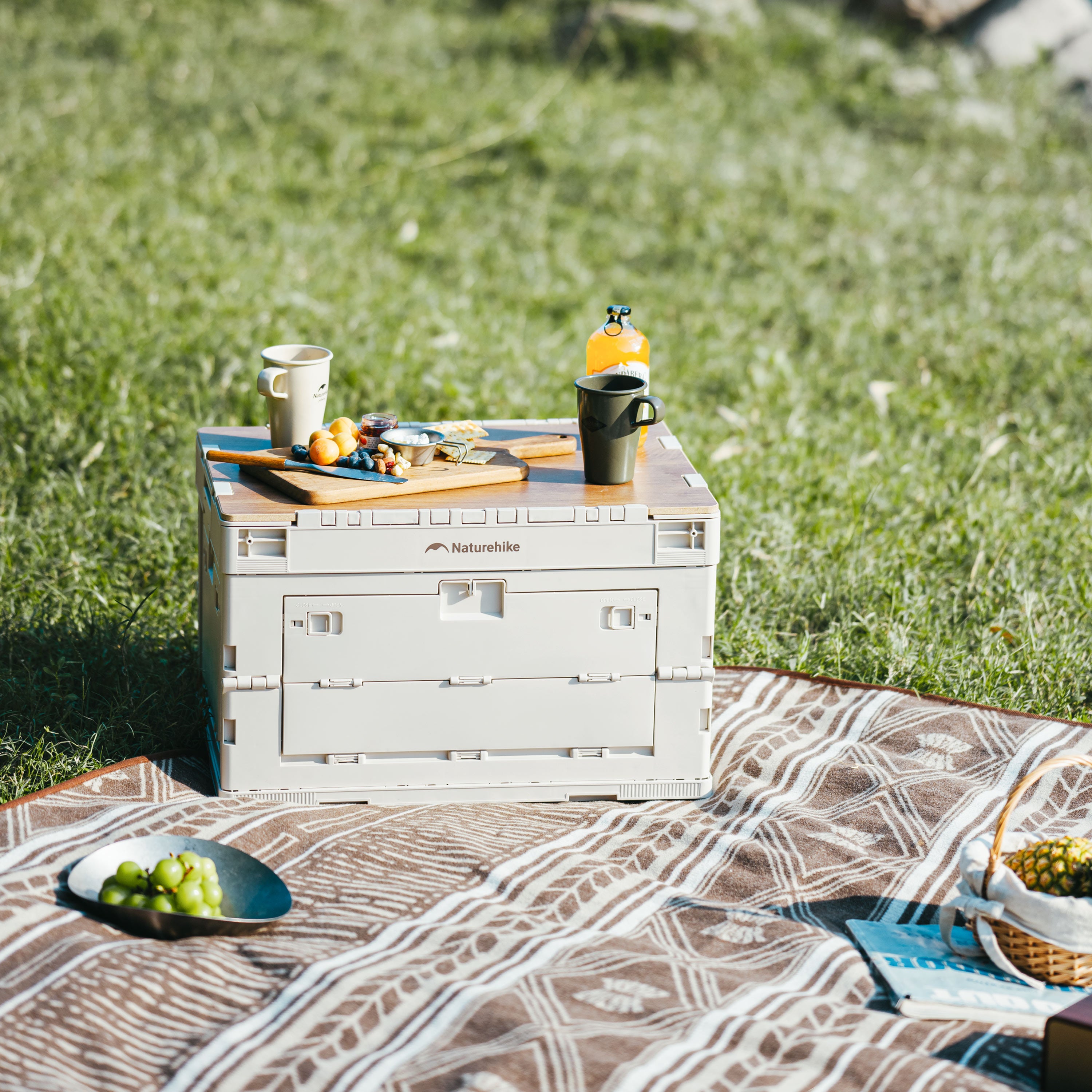 【新品訂購】凌越L折疊收納箱 23L/52L | 四面開合 | 簡易組裝 CNK2450XB020