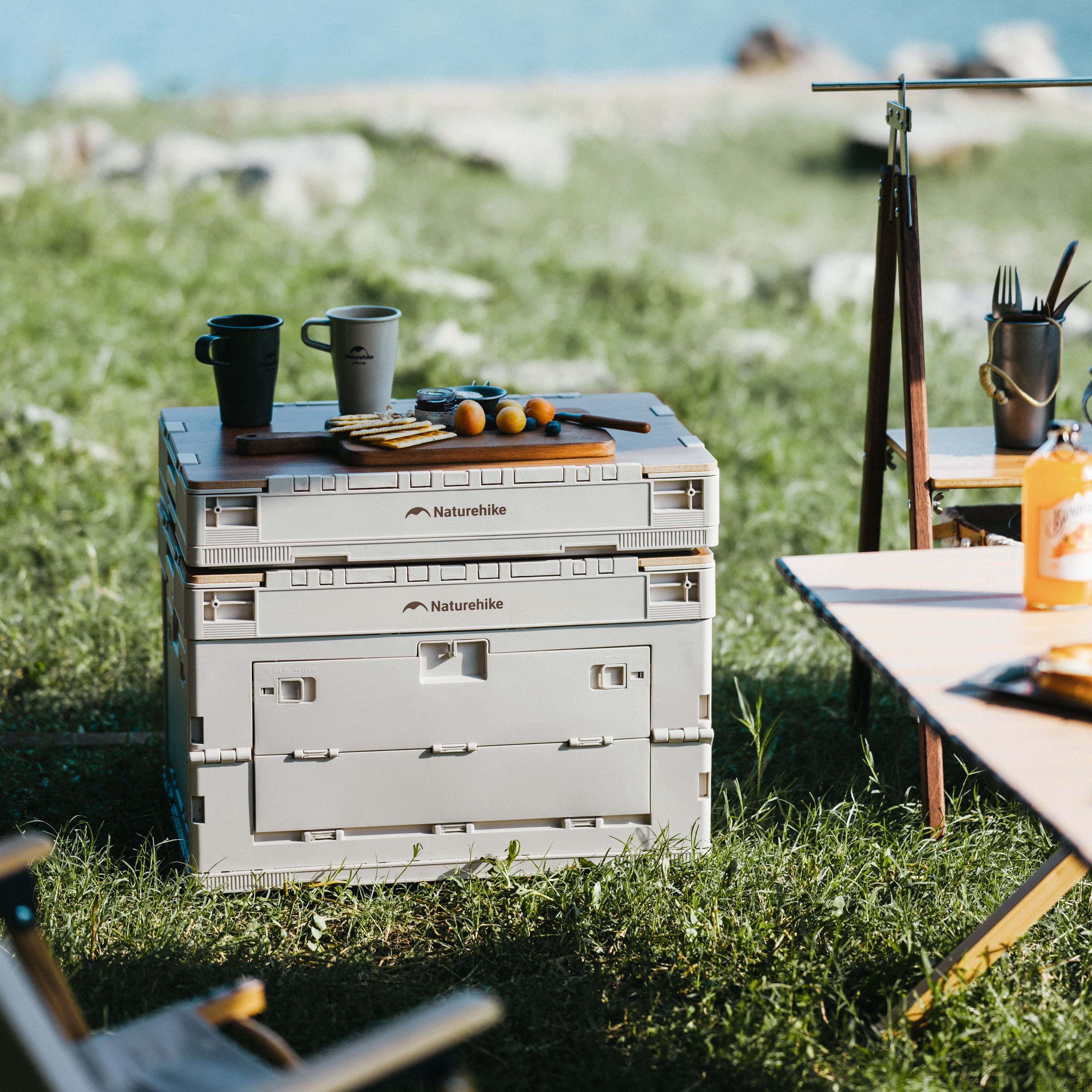 【新品訂購】凌越L折疊收納箱 23L/52L | 四面開合 | 簡易組裝 CNK2450XB020