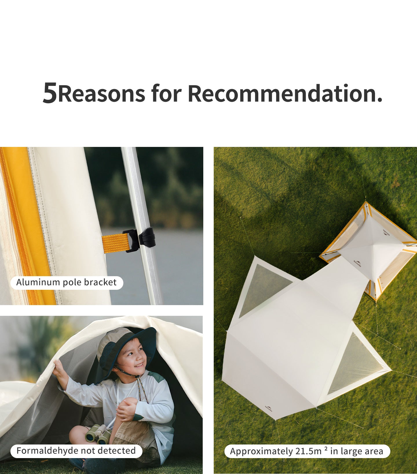 【新品訂購】Ango自動帳篷鋁杠款 ｜速開家庭露營帳｜一室一廳全遮光 3/4人款｜CNK2550WS010