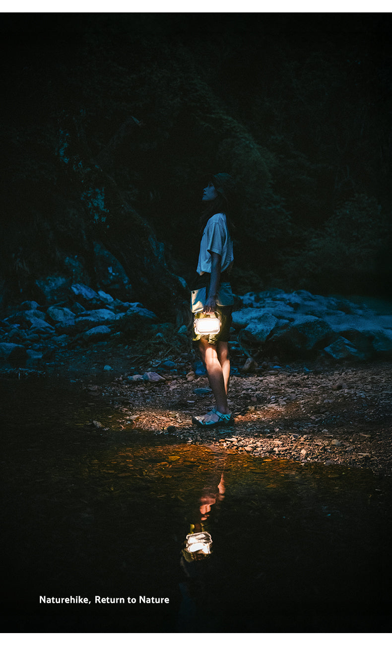 【新品訂購】月伴多功能照明捕蚊燈｜CNK2550ZM013