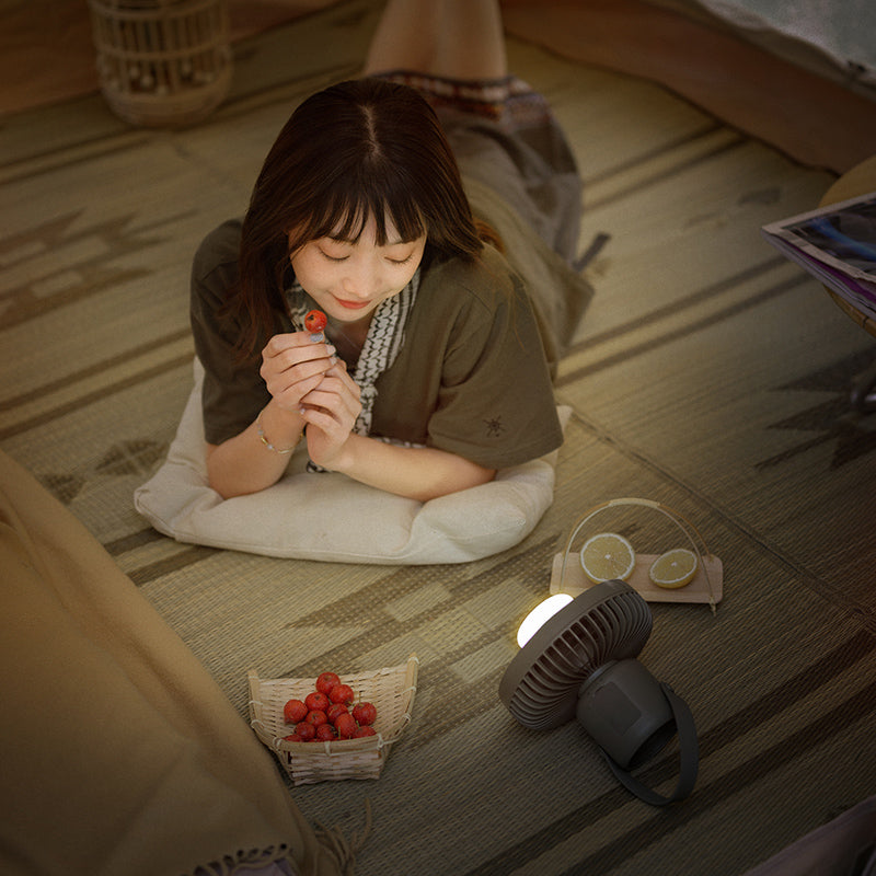 戶外便攜風扇(連照明功能) | 多色選擇 NH22ZM001