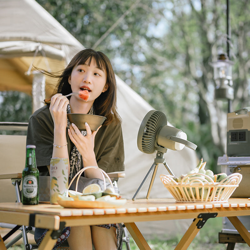 戶外便攜風扇(連照明功能) | 多色選擇 NH22ZM001